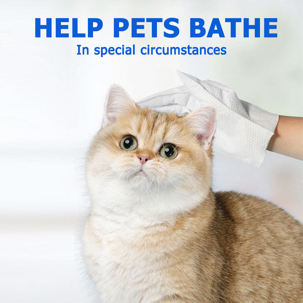 Cleaning Wipes Gloves For Dog And Cat,Pet Bathing Wipes Cleaning & Deodorizing,Dog Wipes For Body Paws Butt Daily Care,Cat Grooming Wipes Cleaning Fur Traveling Rinse Free,6PCS-1PACK